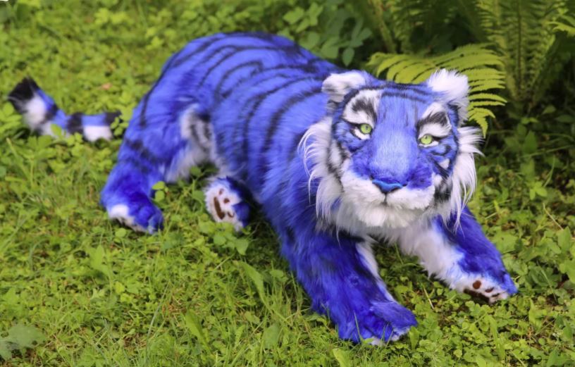 синий тигр